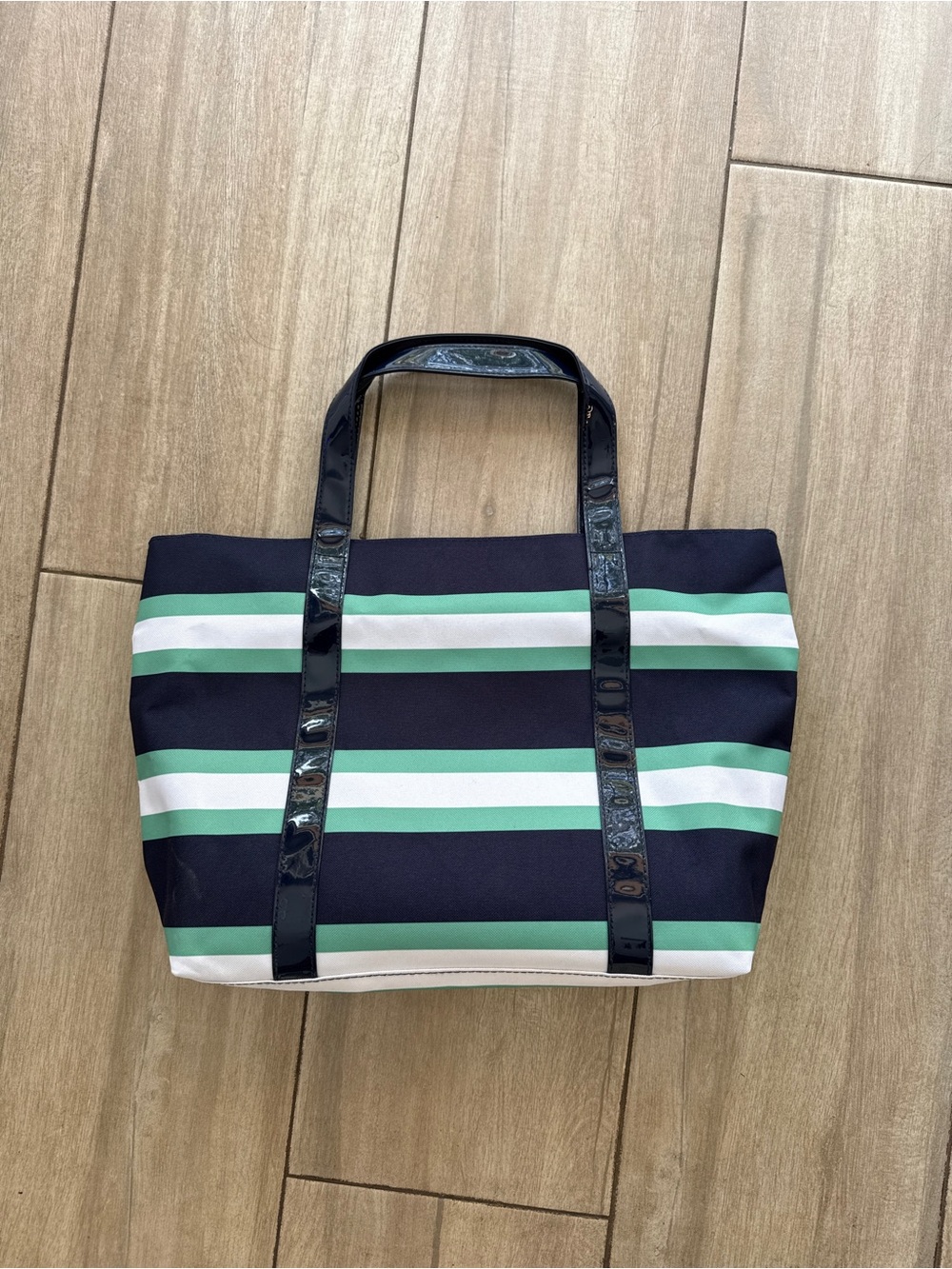Striped Navy and Mint Canvas Tote Bag